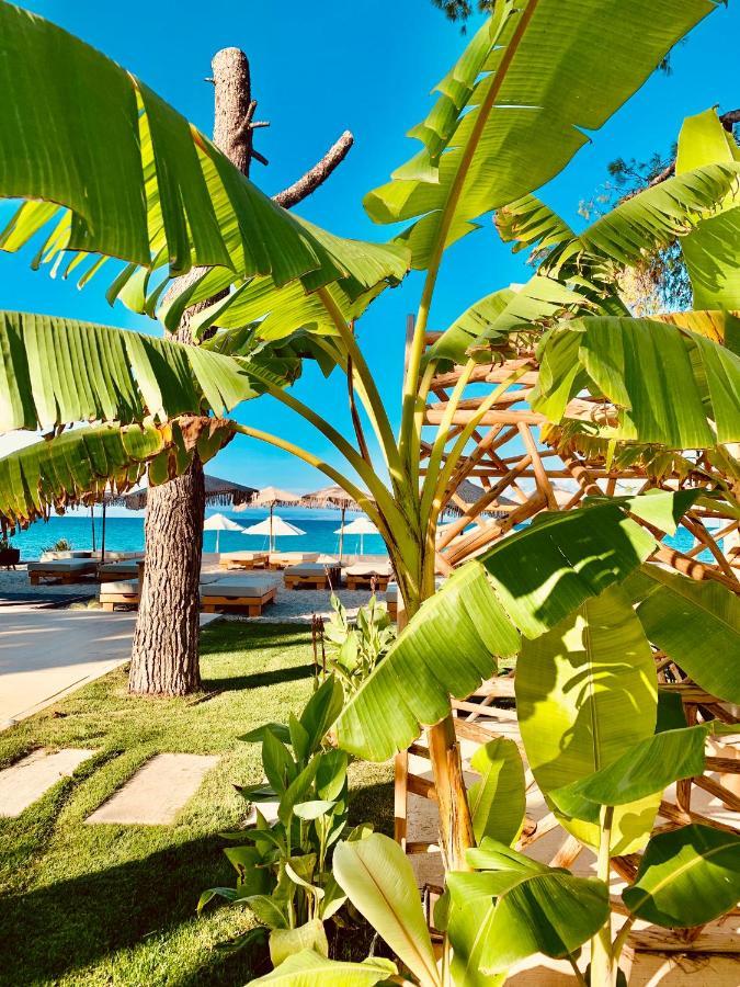 Mako Sea & Suites Pefkochori Ngoại thất bức ảnh